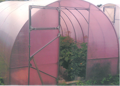 nasha-teplica2.png nasha-teplica2.png