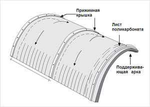 48.jpg 48.jpg